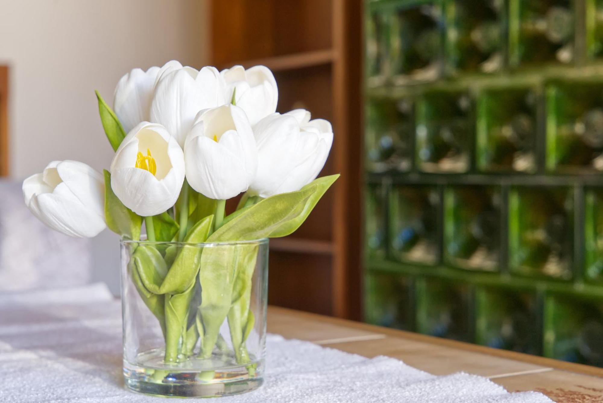 Castle Way Apartments Tamy ブレッド エクステリア 写真
