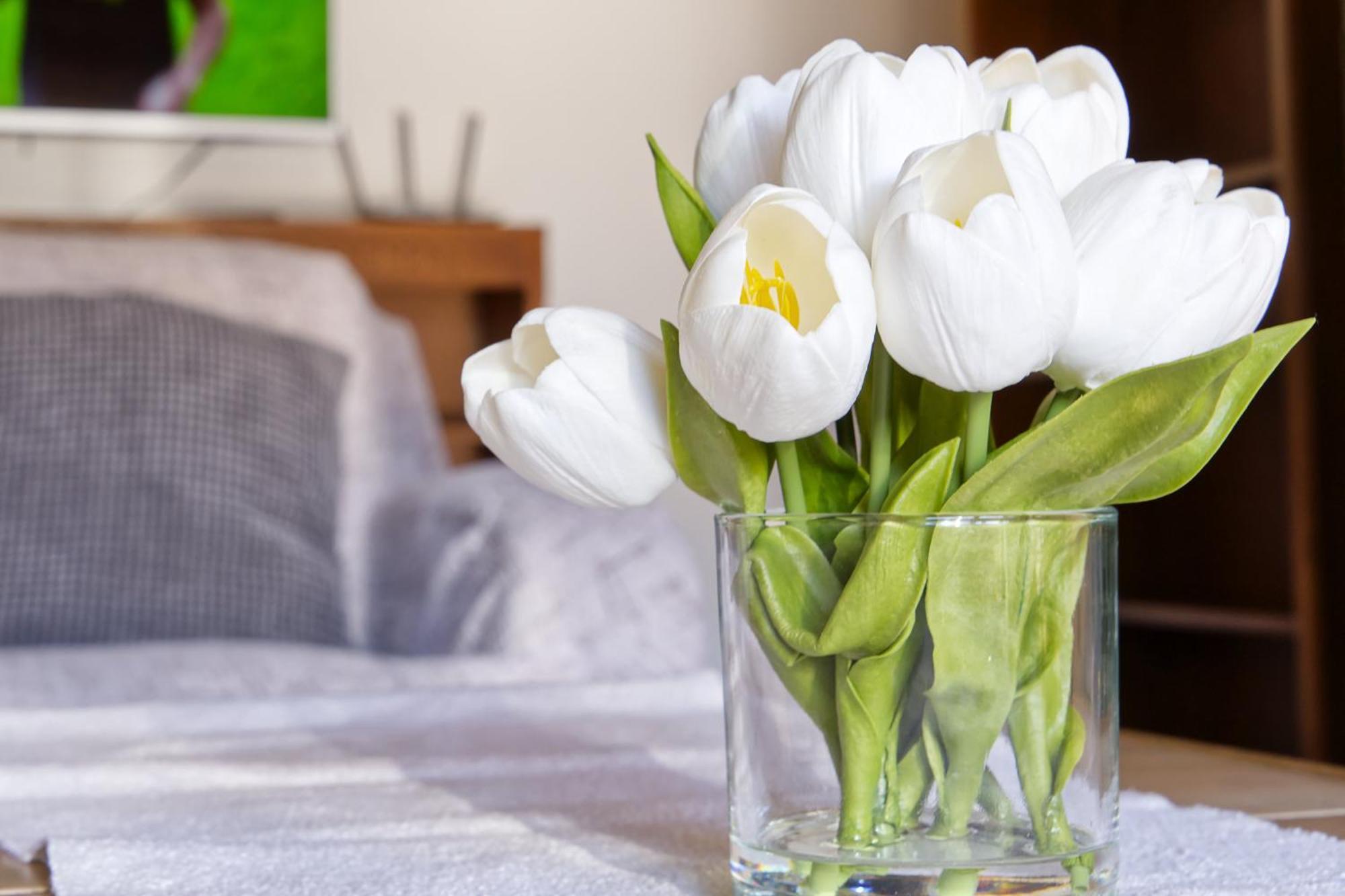 Castle Way Apartments Tamy ブレッド エクステリア 写真