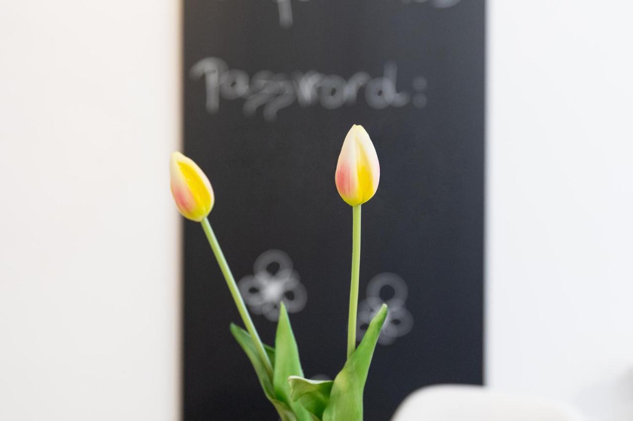 Castle Way Apartments Tamy ブレッド エクステリア 写真