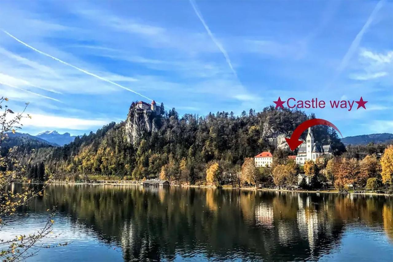 Castle Way Apartments Tamy ブレッド エクステリア 写真